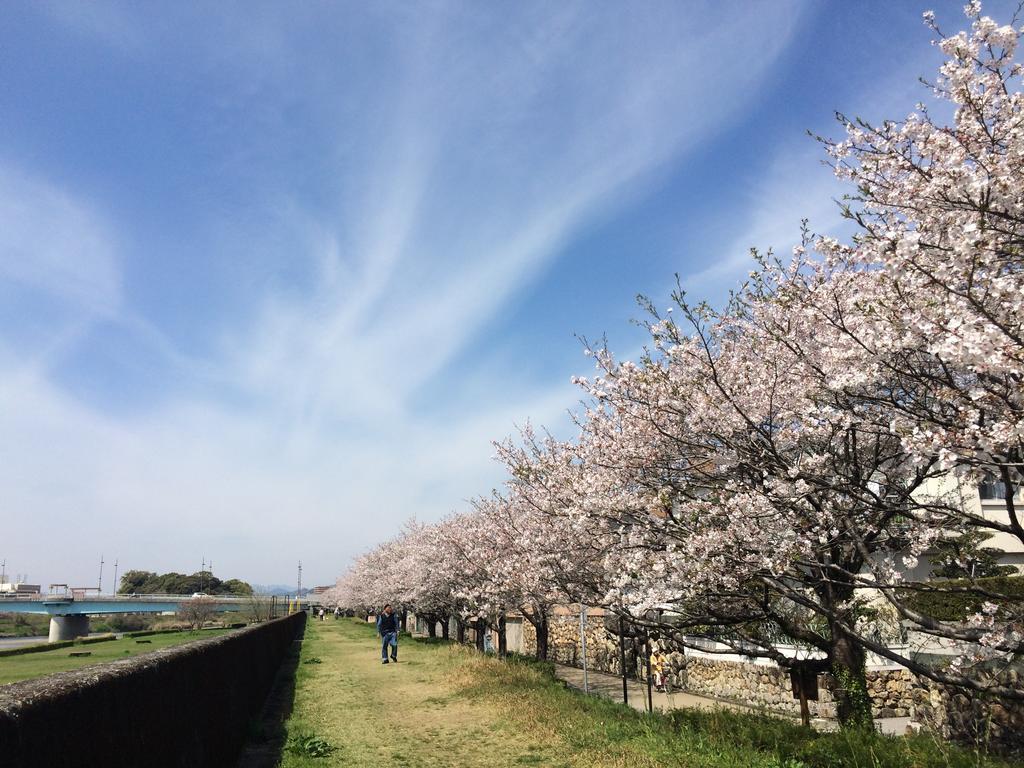 Jyoseikan Kōchi Dış mekan fotoğraf